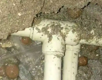 绿园测漏水多少钱