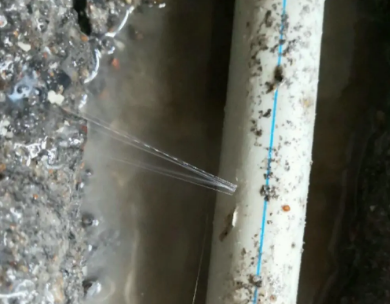 绿园测漏水哪家好